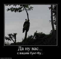 Кунг-фу по-питерски  