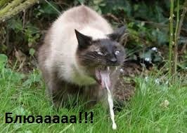 Звезда Инстаграма доказала, что ее необъятная задница - настоящая