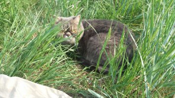 А это мой первый раз на улице))))))