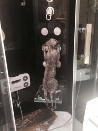 после улицы )