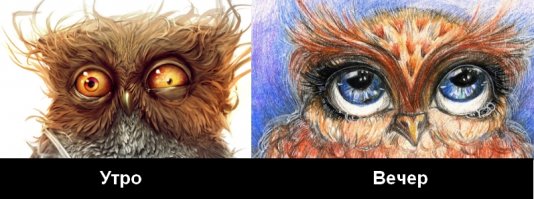 «7 утра — 7 вечера»: как по-разному выглядит человек