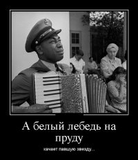 Владимир Сычёв: самый печатаемый фотограф мира в 1980-м году