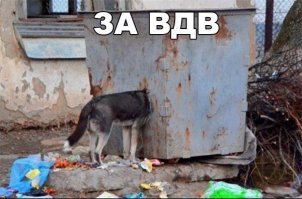 Всем чистого неба!!! ВСЕХ С ПРАЗДНИКОМ БРАТИШКИ!