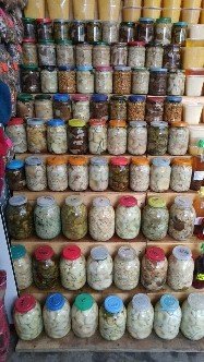 В этом году отдыхали в Боровом (Казахстан). Наш трофей)