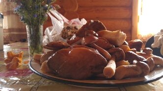 В этом году отдыхали в Боровом (Казахстан). Наш трофей)