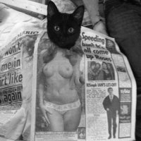 12 раз, когда фото оказалось лучше тысячи слов