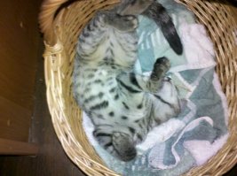 нам и тут неплохо...