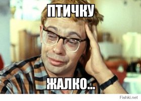 Львы охотятся на цаплю в амстердамском зоопарке