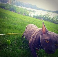 Ну нафиг этих уток! Дом где?