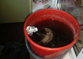 это тоже ихнее изобретение?