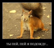 Позитивный августовский алкопост (39 фото)