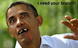 Фотографии, от которых  политики приходят в ярость!