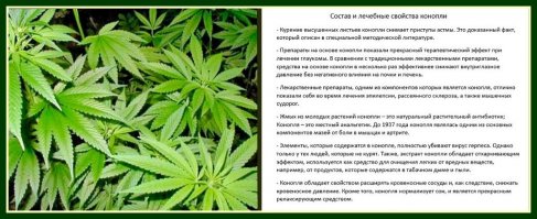 главное-то растение совсем позабыли...