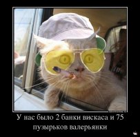 Мы не жлобы, жлобы не мы!