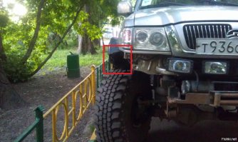 Видишь котика? А он есть!