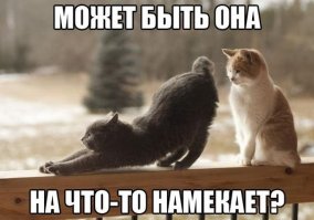 Прикольные картинки 