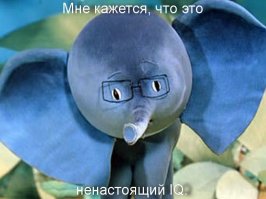 Знаменитости с самым высоким интеллектом