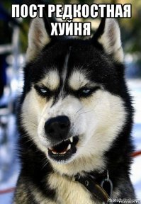 Парень 10 дней ждал интернет-возлюбленную в китайском аэропорту, но она не приехала