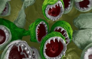 Параллельная Вселенная: Фотографии сделанные под микроскопом