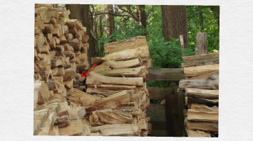 вот ещё один.