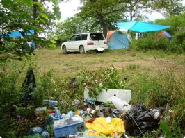 Бочка дегтя в этой ложке меда: