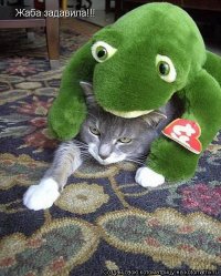 В "гнилых штатах" видел такие зоны отдыха на крыше делают через дом, а у нас ниииззяя!
Патаму как жаба людей давит, что соседям хорошо.