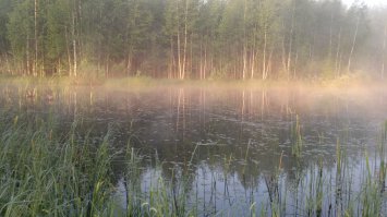 Отдых на природе это прекрасно