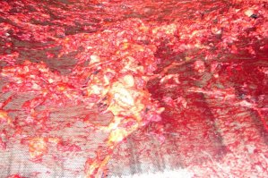 загрузил бы до конца