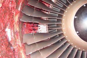 загрузил бы до конца