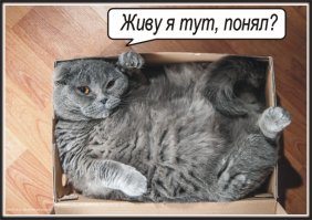 "Детский мир" охренел!