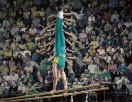 12 мастеров, которым удалось довести искусство фотобомбы до высочайшего совершенства