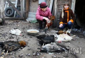 Самое ужасное и мерзкое животное,это хорёк! Эти твари вырезают целые курятники,народ в сёлах знает,каково это,вырастить цыплят или утят,а зимой эта сволочь пролезет в какую-нибудь дырку и передушит всех кур или уток