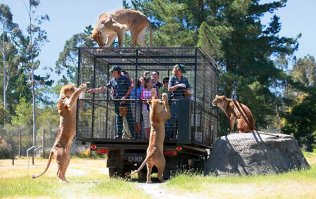 Ненавижу грёбанные цирки и зоопарки. Живодёрня.  Вот правильный зоопарк