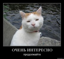 Со дна Черного моря подняли разбитую машину