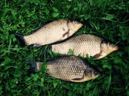 Конечно не всё так плохо :)