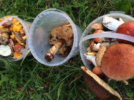 Конечно не всё так плохо :)