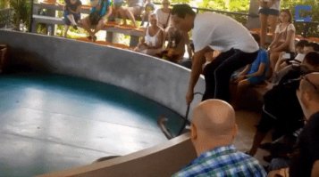 Мужик, со шлангом то поосторожней...