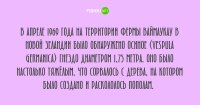 У ос тоже есть свои Равшан и Джамшут?! ;)