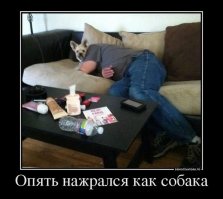 Позитивный августовский алкопост (39 фото)