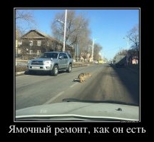Это 4runner.
Вот это surf