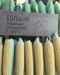 Смешные картинки из соц.сетей