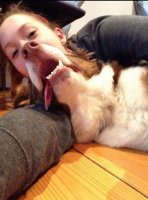 12 мастеров, которым удалось довести искусство фотобомбы до высочайшего совершенства