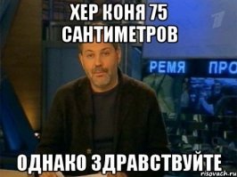 Конь решил полежать на хозяйке