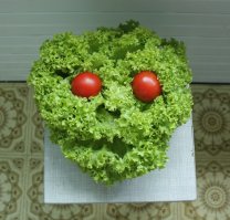 Мы так прикололись: