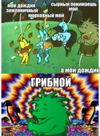 Фунги сапиенс. Грибы куда умнее и хитрее, чем мы думали