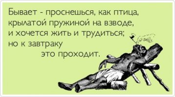 Прекрасное воскресное утро