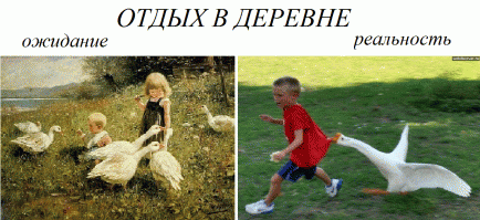 Туризм: ожидание и реальность