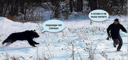 Медведь в России больше чем медведь