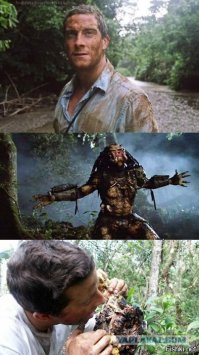 5 животных, чья опасность для человека сильно преувеличена