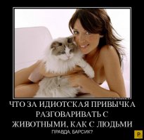 Немного юмора после рабочего дня